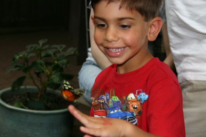 Butterfly Place Boston Kids 